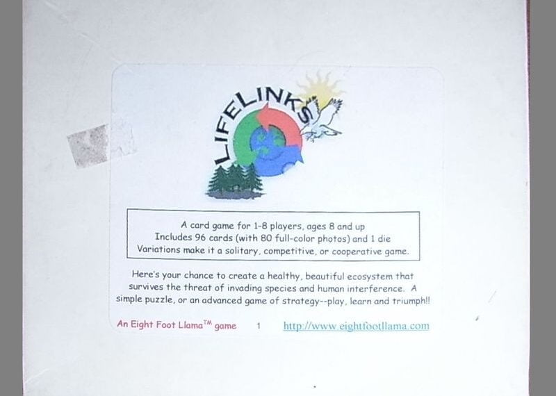 LifeLinks (2000) Board Game