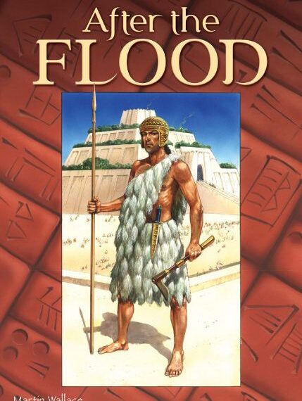 After the Flood (2008) Board Game