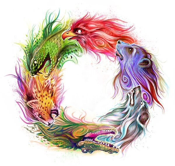 Circle of Life (2015) Board Game