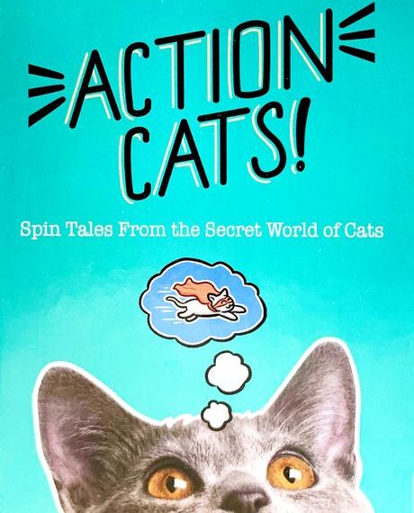 Action Cats! (2017) Board Game