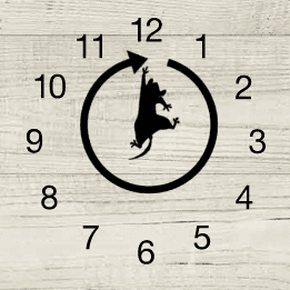 Dickory (2021) Board Game