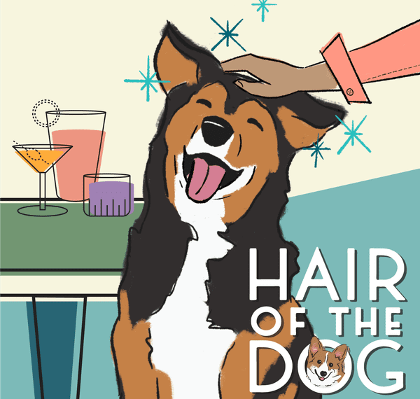 Hair of the Dog (2023) Board Game