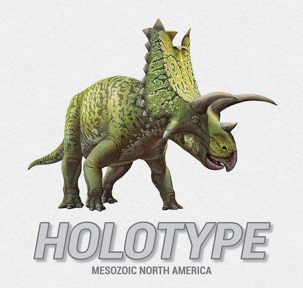 Holotype: Mesozoic North America (2023) Board Game