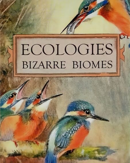 Ecologies: Bizarre Biomes (2020) Board Game